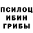 Галлюциногенные грибы Psilocybine cubensis Alexandr Zaharia