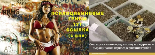 первитин Сатка