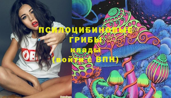 первитин Сатка