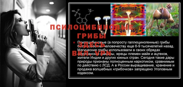 прущая мука Саяногорск