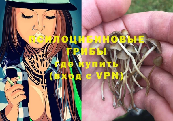 первитин Сатка